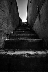 DSC07156-2
