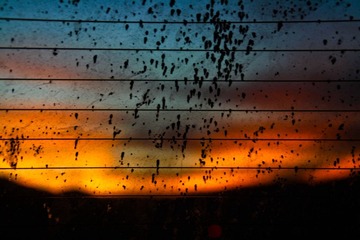 editted-1-15.jpg