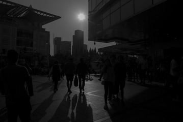 L1004753