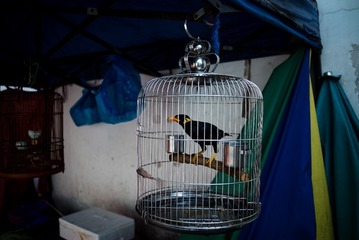 L1005008