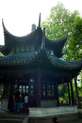 L1005007
