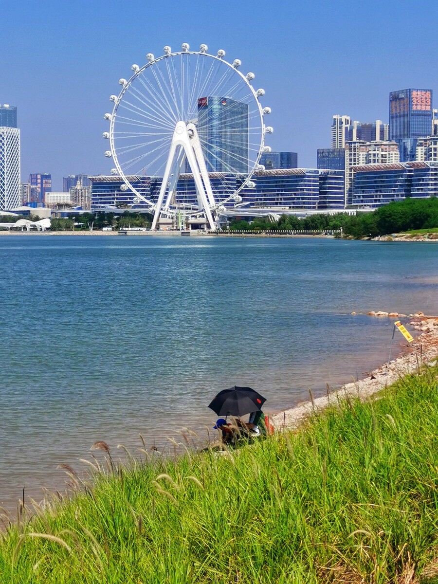 前海海边公园摩天轮