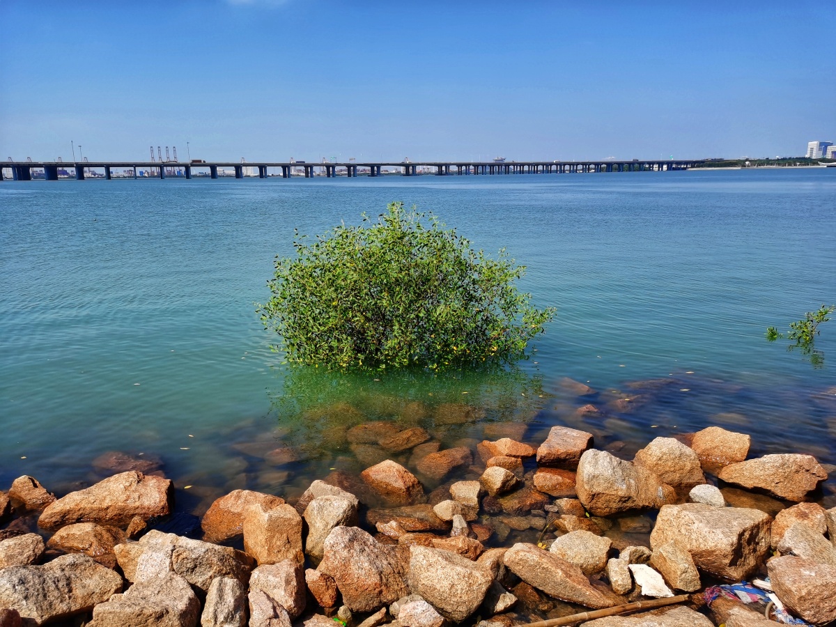前海海边公园摩天轮