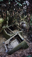DSC03591.jpg