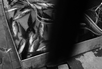 P1011779.jpg