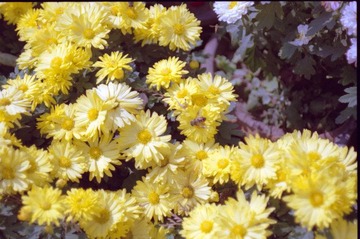 Scan-120201-0003.jpg