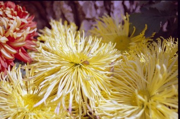 Scan-120201-0004.jpg