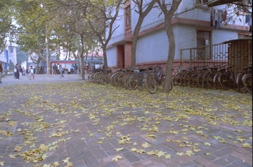 Scan-120201-0040.jpg