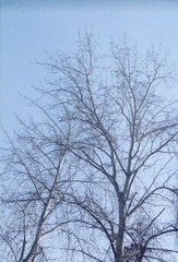 Scan-120201-0013.jpg