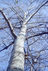 Scan-120201-0014.jpg