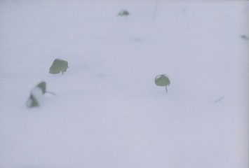 Scan-120201-0028.jpg