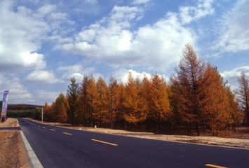 Scan-120202-0020.jpg