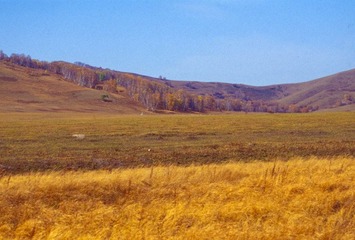 Scan-120202-0024.jpg