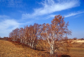 Scan-120202-0025.jpg