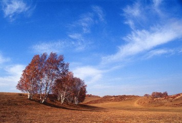 Scan-120202-0027.jpg