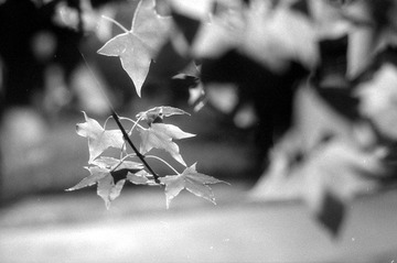 Scan-120212-0017.jpg