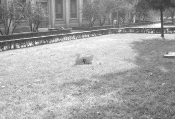 Scan-120213-0015.jpg