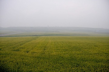 _LHF6610.jpg