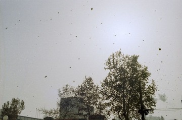 Scan-120218-0011.jpg