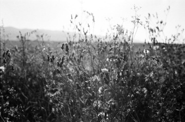 Scan-120218-0013.jpg