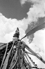 Scan-120218-0019.jpg