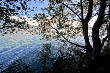 _LHF0731.jpg