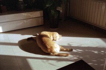 32.jpg
