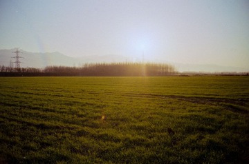 25.jpg