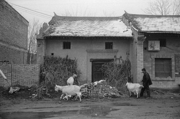 Scan-120207-0008.jpg