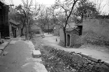 Scan-120319-0009.jpg
