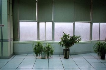 Scan-120404-0006.jpg