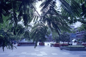Scan-120726-0030.jpg