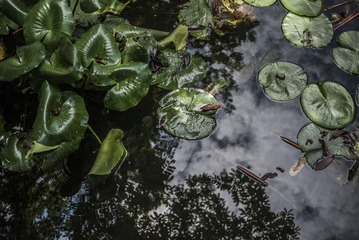 2P1030110.jpg-1