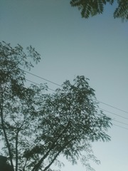 1316912