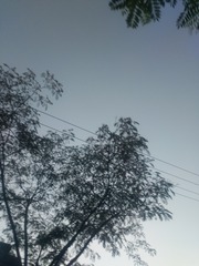 1316912