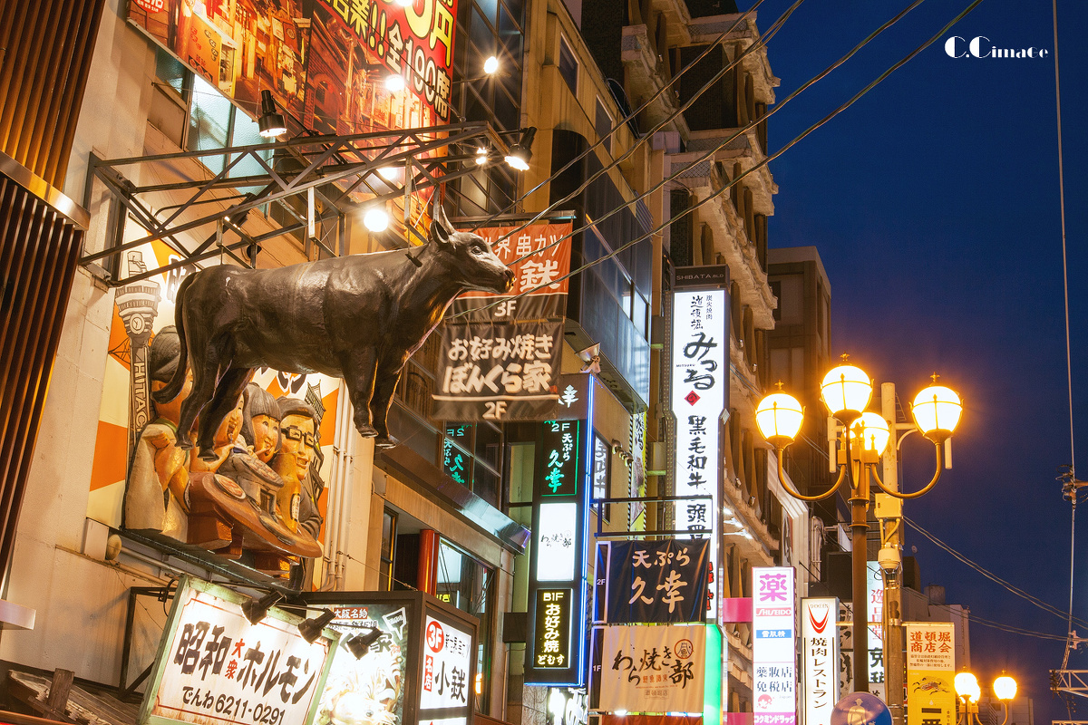 大阪道顿崛步行街