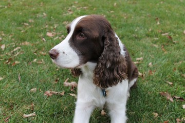 IMG_0646.JPG