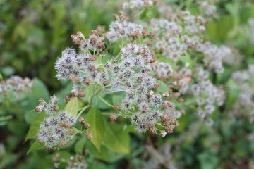 IMG_0698.JPG