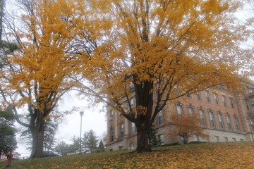 IMG_0935.JPG