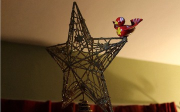 IMG_1352.jpg