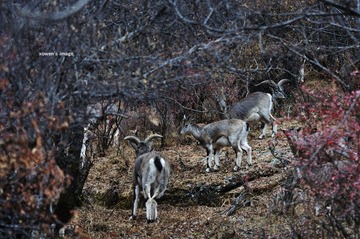 DSC_0853.jpg