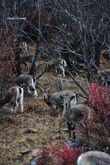 DSC_0819.jpg