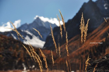 DSC_0713.jpg