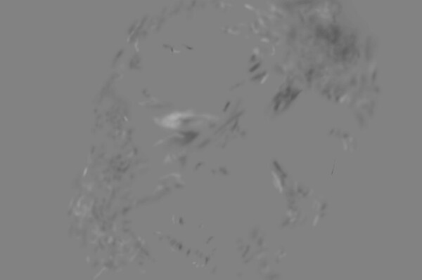 17384519.jpg