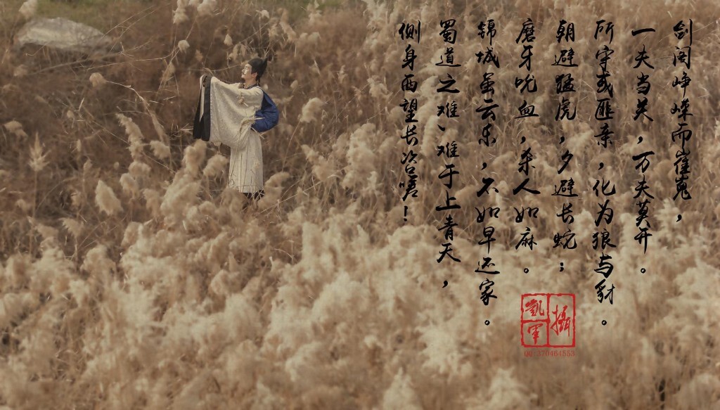 追逐理想
