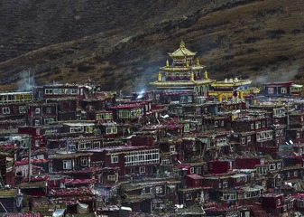 “_IMG4183”为智能对象-1