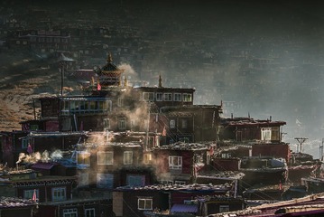 “_IMG4263”为智能对象-1