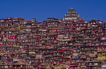 “_IMG4472”为智能对象-1