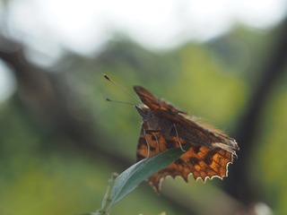 PB052588