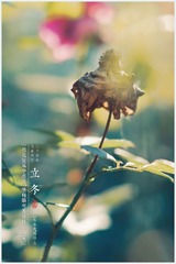 立冬7